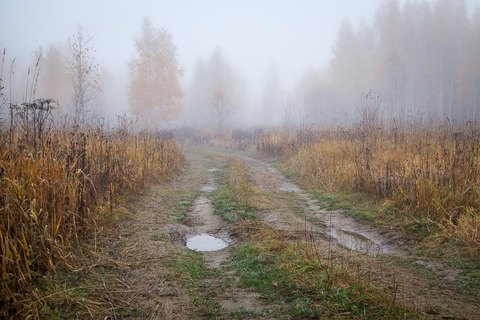 2014/12, Осенние пейзажи 1 место